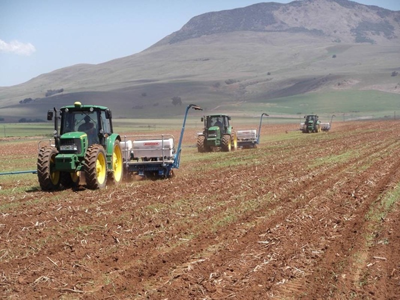 Monosem No-Till Planters making an impact in KwaZulu Natal 6