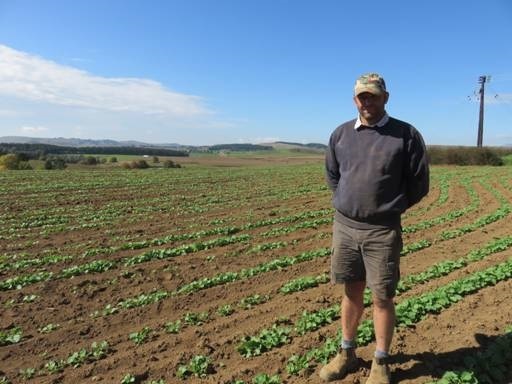 Natal Farmer has success with planting Canola with his Monosem No till planter 1